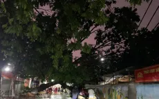 Hà Nội: Mưa kèm gió lớn khiến cột điện, cây cối gãy đổ