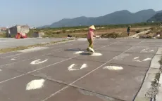 Diêm dân ở Thanh Hóa vào vụ, “phơi mình” dưới cái nắng 40 độ C