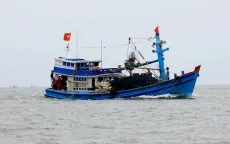 Quyết tâm gỡ "thẻ vàng" IUU trong năm 2024