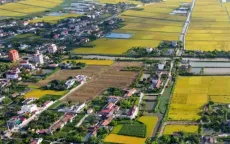 Đất nền vùng ven chờ cú hích về hạ tầng