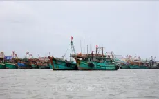 Trách nhiệm người đứng đầu trong ngăn chặn khai thác IUU