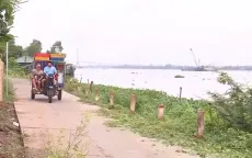 Gia tăng sạt lở bờ sông Tiền