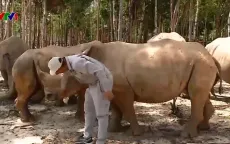 Ngày mới ở vườn thú trên đảo