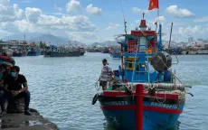 Tăng cường phối hợp kiểm soát tàu cá gỡ “thẻ vàng” cho thủy sản