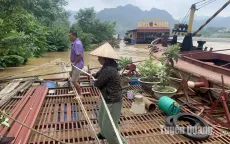 Tuyên Quang sẵn sàng ứng phó với tình huống nước lũ dâng cao