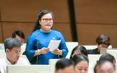 ĐBQH đề nghị nghiên cứu bổ sung quy định về bảo tàng số, bảo tàng tư nhân
