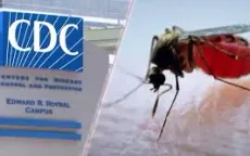 CDC cảnh báo gia tăng số ca sốt xuất huyết tại Mỹ