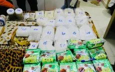 Ma tuý tổng hợp khiến não bộ tổn thương không thể phục hồi