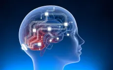 Chip não của Neuralink có thể bị hack?