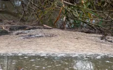 Nhiều con sông ở Anh bị ô nhiễm nghiêm trọng