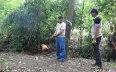 Bắt kẻ hiếp dâm bé gái 10 tuổi, cướp tài sản sau gần 2 tuần lẩn trốn