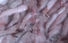 Khó kiểm soát chất cấm trong thực phẩm