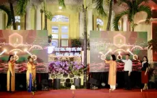 Đà Nẵng tham gia “Thành phố an toàn và không gian công cộng an toàn”