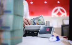 AIIB đầu tư 75 triệu USD vào trái phiếu xanh của SeABank