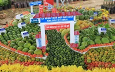 Cần Thơ tổ chức Ngày hội Du lịch sinh thái Phong Điền 2024