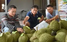 "Vua" trái cây dẫn đầu kim ngạch trong nhóm rau quả xuất khẩu