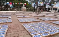 Colombia thu giữ 196 tấn cocaine trong chiến dịch truy quét ma túy đa quốc gia