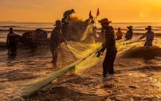 Nhộn nhịp cảnh kéo lưới rùng của ngư dân ở vùng biển Hà Tĩnh