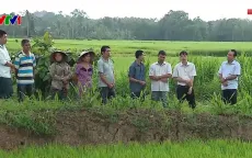 Phát triển nguồn nhân lực vùng đồng bào dân tộc thiểu số