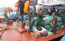 Từ 1/8, phạt nặng vi phạm khai thác thủy sản