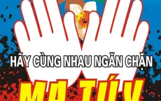 Lập Hội đồng thẩm định Báo cáo đề xuất Chương trình mục tiêu quốc gia phòng, chống ma túy