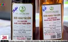 Đường dây sản xuất thuốc nam giả: Đặt kho tại chung cư cao cấp, giao hàng qua chuyển phát nhanh