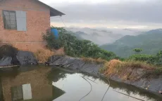 Hai cháu nhỏ tử vong thương tâm trong hồ tưới cà phê