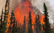 Cháy rừng ở tỉnh Alberta, chính quyền Canada ban hành lệnh hạn chế đốt lửa