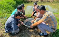 Cà Mau nâng cao ý thức bảo vệ nguồn lợi cá đồng