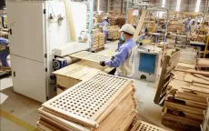 Xuất khẩu gỗ và sản phẩm gỗ tăng trưởng tích cực
