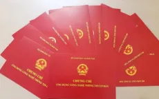 Xét xử cặp đôi lừa tiền của hàng trăm học viên thi chứng chỉ ngoại ngữ, tin học