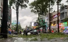 Cảnh báo dông, mưa lớn khu vực Nam Bộ