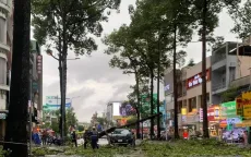 Cành cây gãy đè trúng ô tô, rạp cưới bị xô đổ trong mưa dông ở TP Hồ Chí Minh