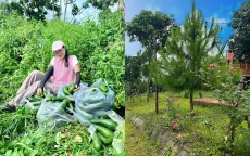 Trải nghiệm làm vườn, "sống chậm" cùng thiên nhiên ở các nông trại xanh