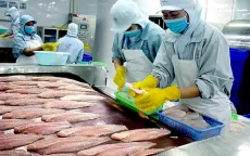 Xuất khẩu cá tra khởi sắc ở nhiều thị trường