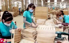 Xuất khẩu gỗ Việt đang rộng cửa vào Hoa Kỳ