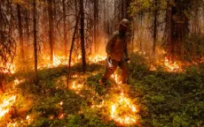 Canada: Cháy rừng lan rộng ở tỉnh Alberta, tỉnh British Columbia nhanh chóng ra lệnh sơ tán