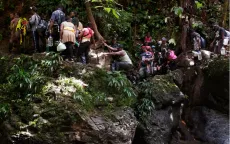 Panama bắt đầu trục xuất người di cư băng qua rừng rậm "tử thần" Darien Gap