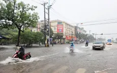 Hàng loạt cây xanh gãy đổ, lều quán bị tốc mái, nhiều nơi ngập lụt sau bão số 2