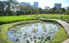 Mô hình thành phố 15 phút ở Bangkok