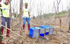 36 cá thể động vật hoang dã quý hiếm được thả về môi trường tự nhiên