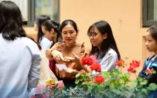 Học phí trường công lập chất lượng cao ở Hà Nội có thể gần 6,6 triệu đồng/tháng