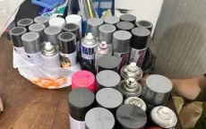 Hai người nước ngoài bị trục xuất vì vẽ bậy ở TP Hồ Chí Minh