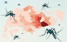 Singapore ghi nhận số ca sốt xuất huyết tăng cao với hơn 10.000 trường hợp từ đầu năm đến nay