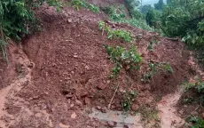 Điện Biên: Di dời nhà dân khẩn cấp do sạt lở