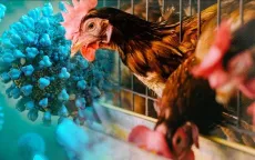 Campuchia phát hiện thêm ca nhiễm cúm gia cầm H5N1 ở người