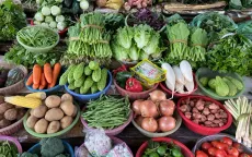 Bình ổn thị trường rau mùa mưa lũ