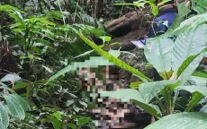 Tìm thấy thi thể cụ bà 70 tuổi mất tích tại đèo Phượng Hoàng