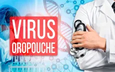 Số ca nhiễm virus Oropouche tăng nhanh ở khu vực Mỹ Latin