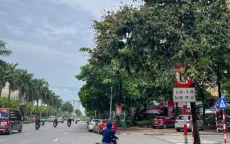 Biển báo giao thông “lấp ló” làm khó người đi đường
